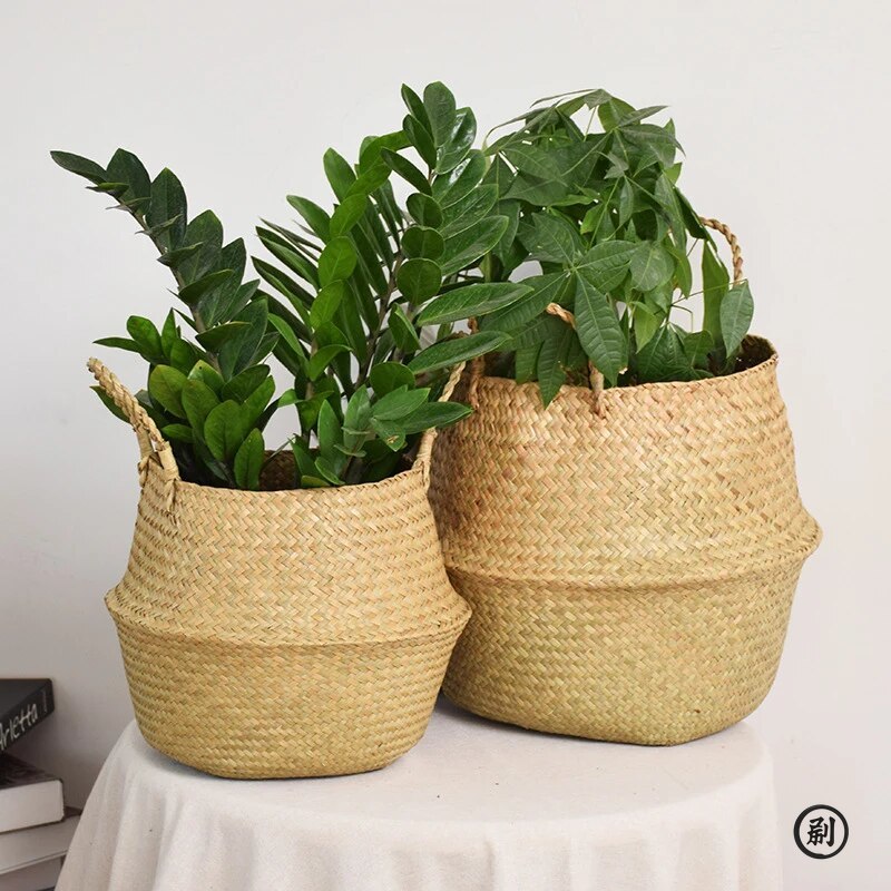 위커 바구니 장난감 정리함 접이식 라탄 해초 수납 바구 - Rattan Plant Basket 리뷰 및 가격
